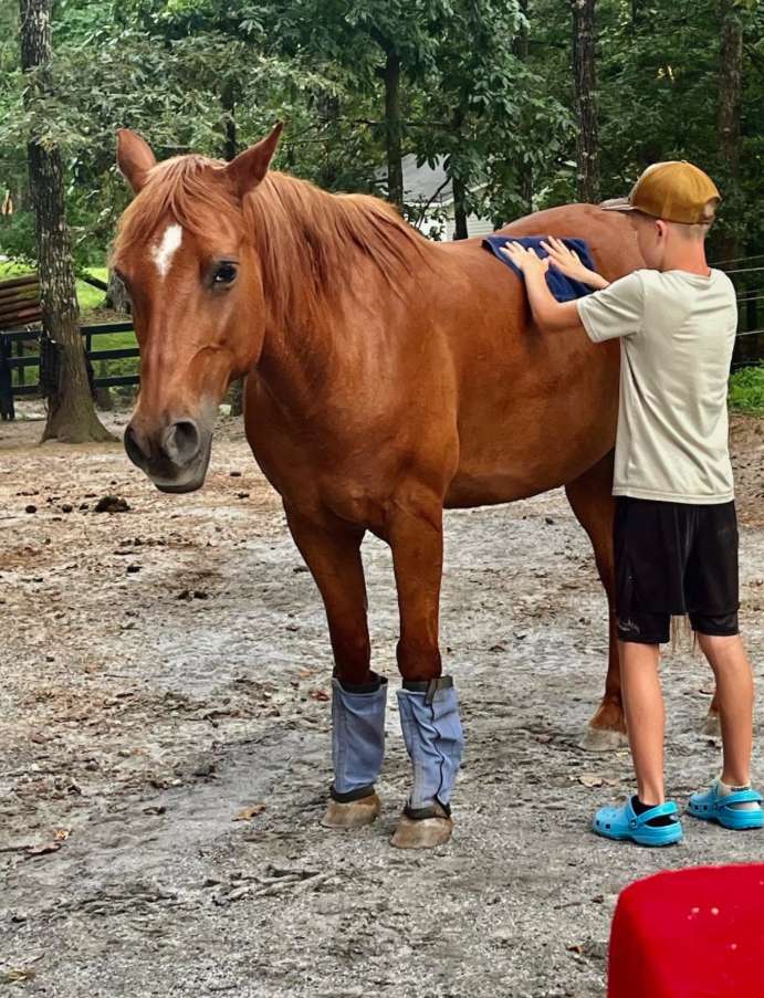 Time with the horses